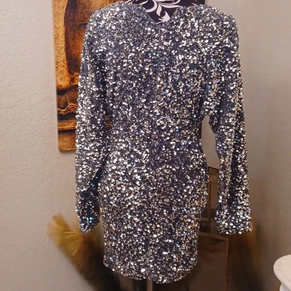 Silver Sequin Dress - Picture 4 of 4